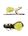 Light green Light green