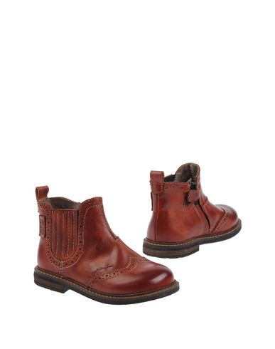ZOOM MOMINO - Ankle boots