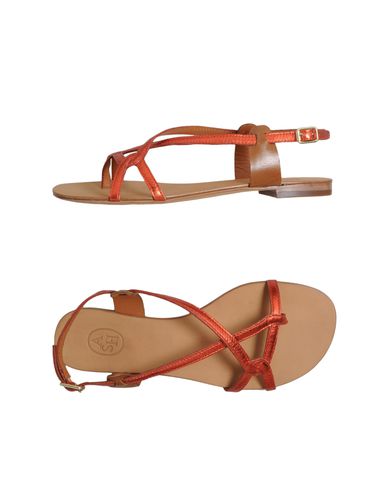 ZOOM ASH - Flip flops