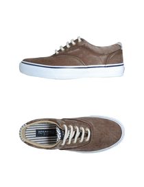 SPERRY TOP-SIDER - Low-tops
