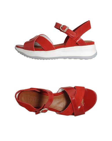 ZOOM RUCO LINE - Wedge