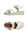 White White