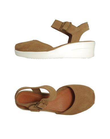 ZOOM RUCO LINE - Wedge