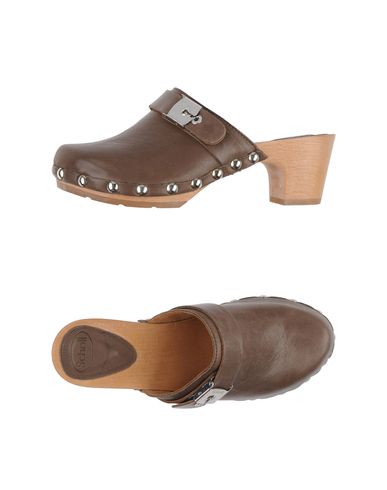 ZOOM SCHOLL - Mules