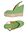 Light green Light green