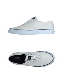 SPERRY TOP-SIDER - Low-tops