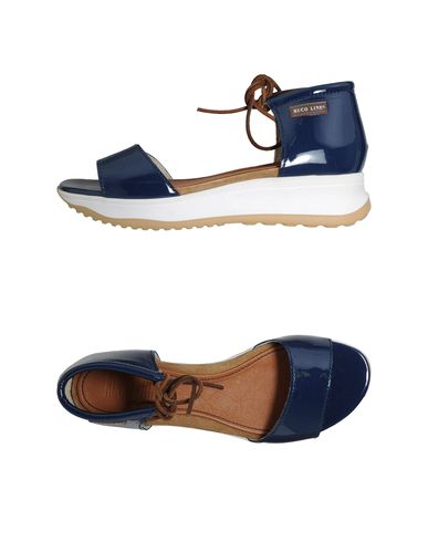 ZOOM RUCO LINE - Wedge
