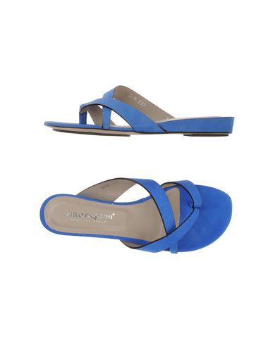 ZOOM CARLO PAZOLINI - Flip flops & clog sandals