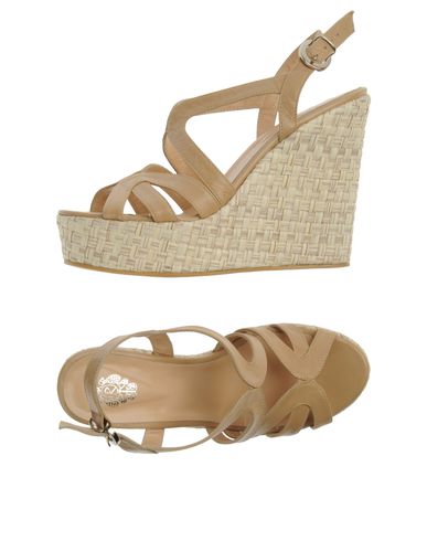 ZOOM PVT LBL - Wedge