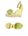 Acid green