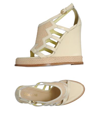 ZOOM POLLINI - Wedge