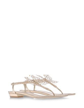 Sandals - RENE' CAOVILLA