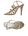Beige Beige
