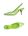 Light green Light green