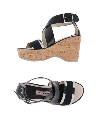 ZOOM ANTONIO MARRAS - Wedge