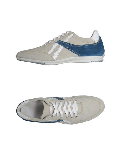 ZOOM ALEXANDER HOTTO - Low-tops