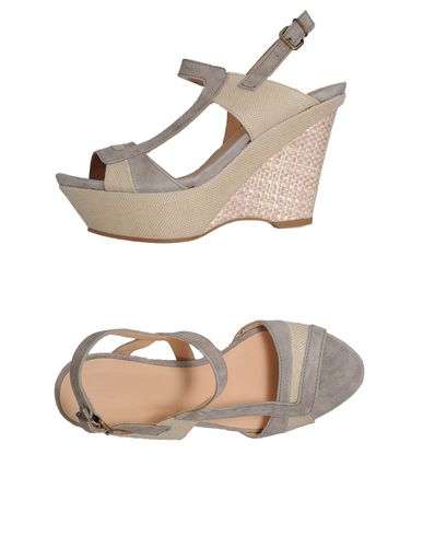 ZOOM HOSS INTROPIA - Wedge