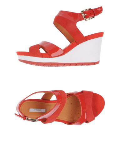 ZOOM GEOX - Wedge