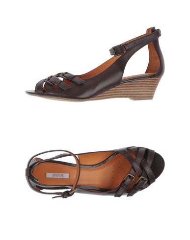 ZOOM GEOX - Wedge