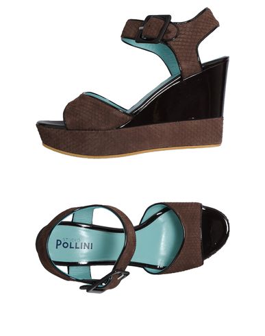 ZOOM STUDIO POLLINI - Wedge
