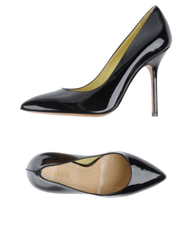 ZOOM POLLINI - Pump
