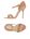 Skin color