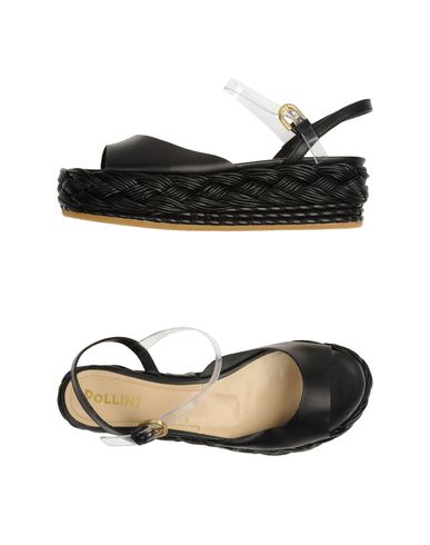 ZOOM POLLINI - Wedge