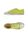 Acid green Acid green