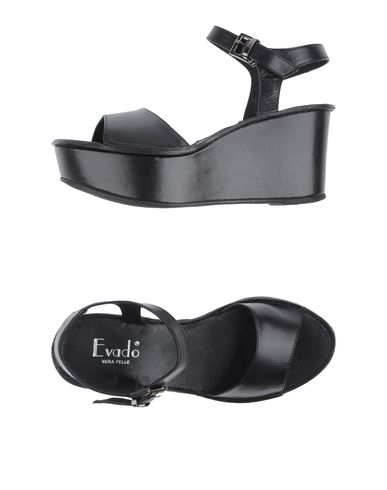 ZOOM EVADO - Wedge