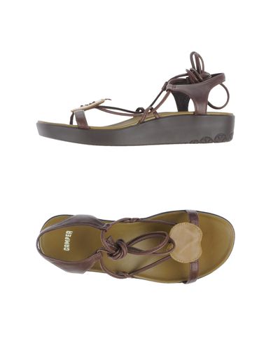 ZOOM CAMPER - Wedge