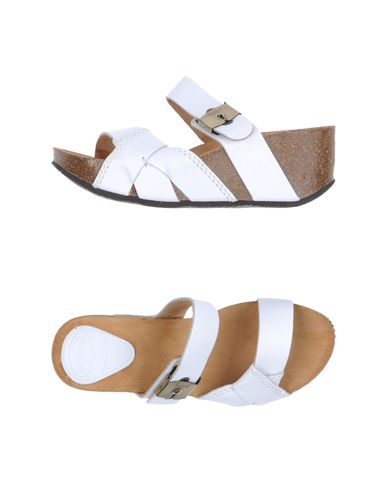ZOOM SCHOLL - Wedge