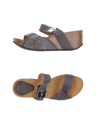 ZOOM SCHOLL - Wedge