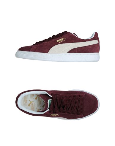 ZOOM PUMA - Sneakers