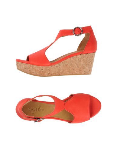 ZOOM COCLICO - Wedge