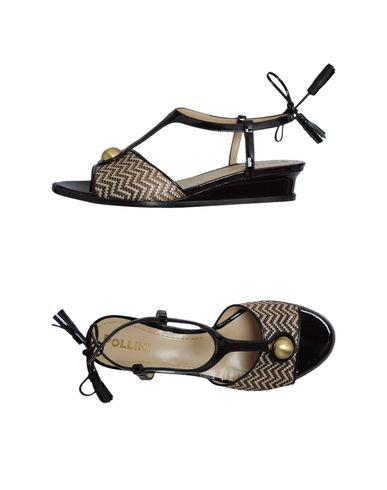 ZOOM POLLINI - Wedge