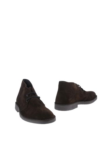 ZOOM CAFe'NOIR - Botines cordones