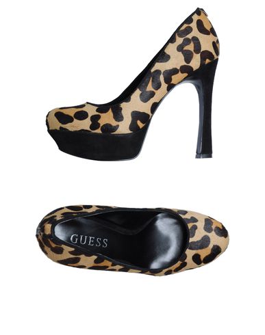 ZOOM GUESS - Pump