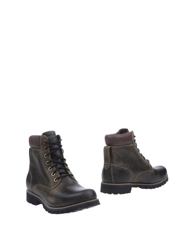 ZOOM TIMBERLAND - Ankle boots