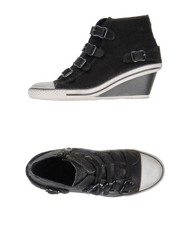 ZOOM ASH - Wedge