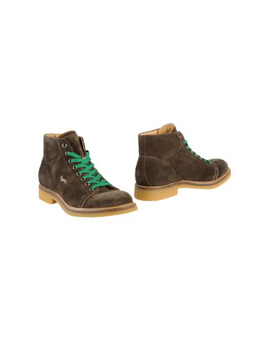 ZOOM HARMONT&BLAINE - Ankle boots