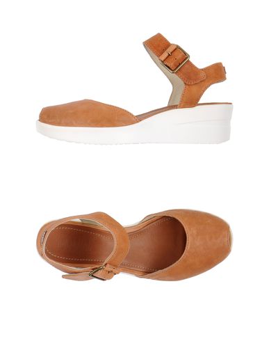 ZOOM RUCO LINE - Wedge