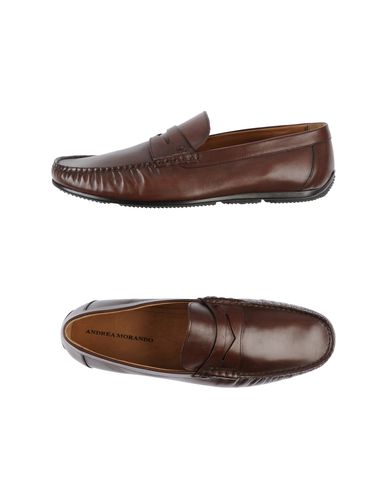 ZOOM ANDREA MORANDO - Moccasins