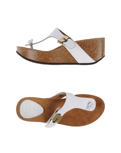 ZOOM SCHOLL - Wedge