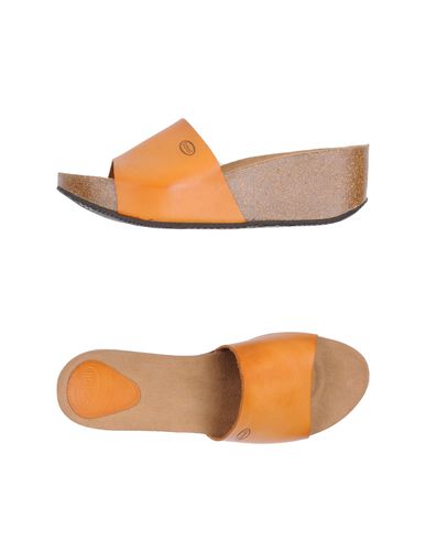 ZOOM SCHOLL - Wedge
