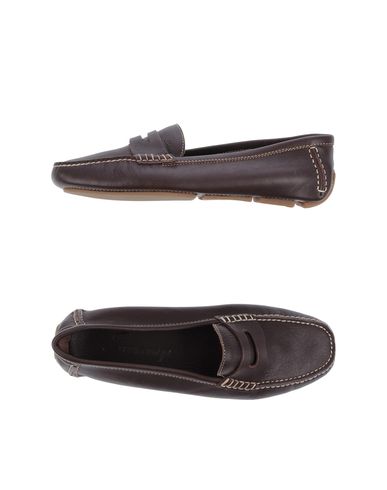 ZOOM SWAMP - Moccasins