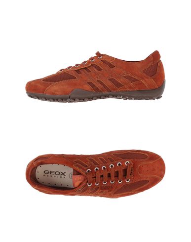 ZOOM GEOX - Low-tops