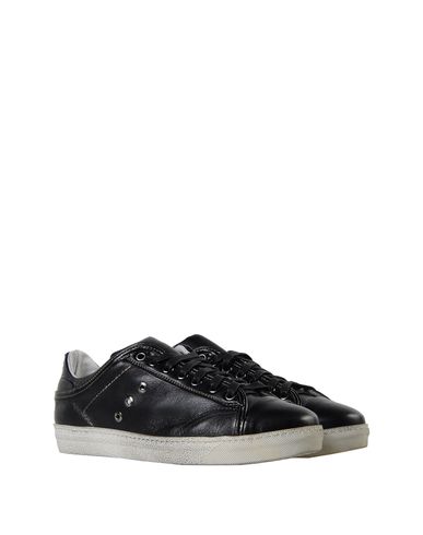 ZOOM 8 - Low-tops