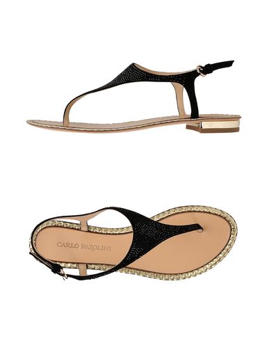 ZOOM CARLO PAZOLINI - Flip flops & clog sandals