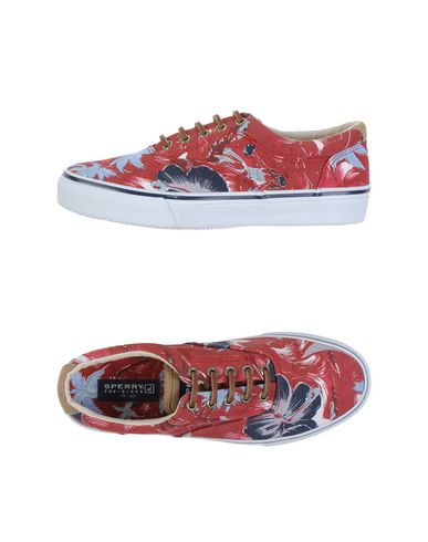 Кеды SPERRY TOP-SIDER