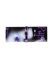 PAPÀ RAZZI - Pochette